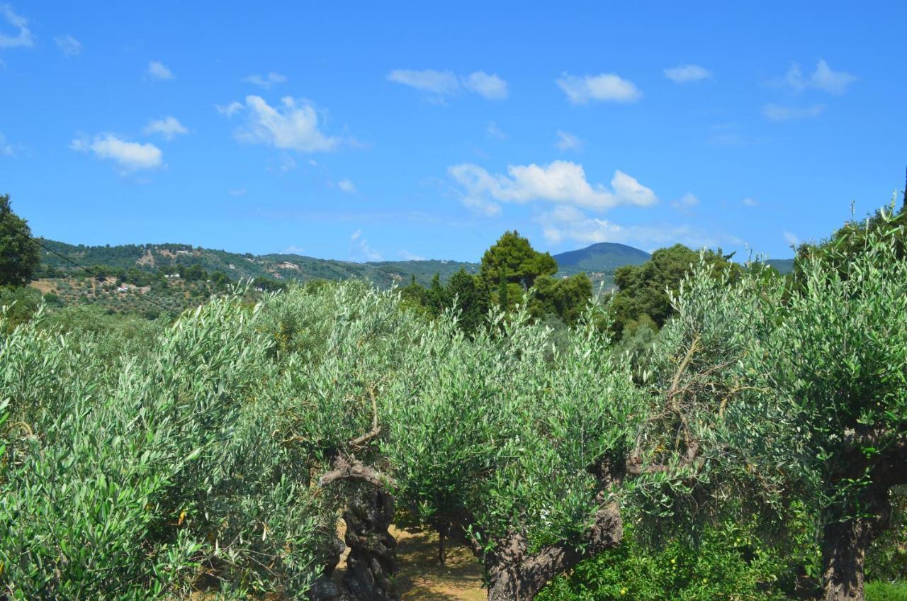 Kalokairi Cottage Skopelos Dış mekan fotoğraf